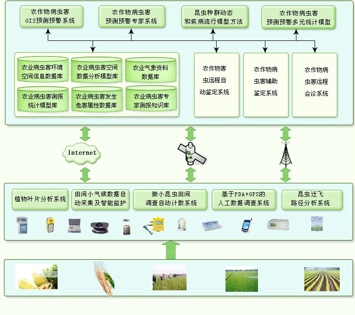 病蟲害智能檢測系統